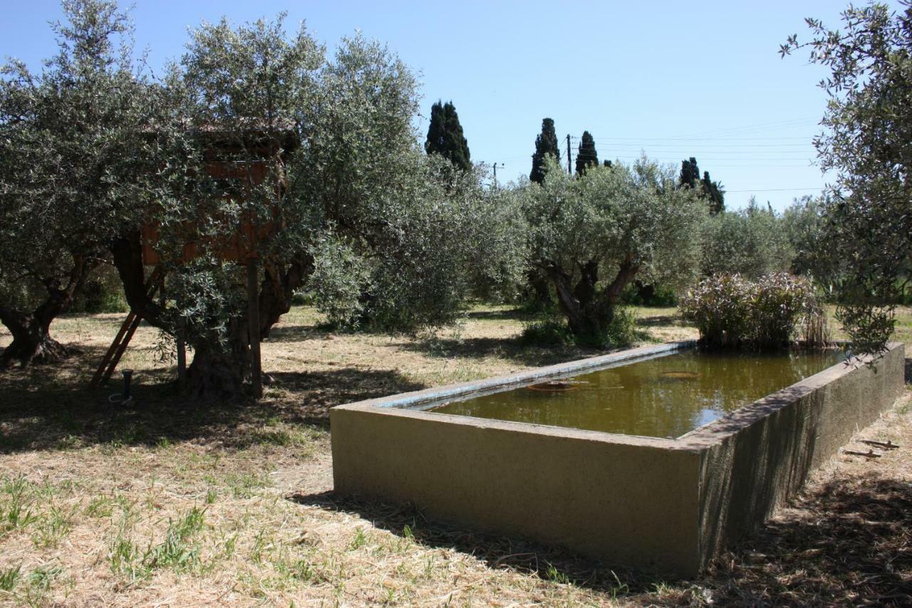 Mercouri Stone Cottage Korakochori Exterior photo